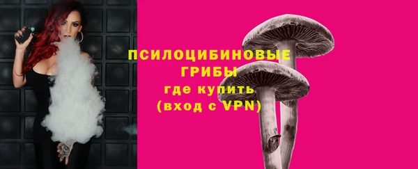 экстази Медвежьегорск